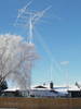 Winter hore frost
